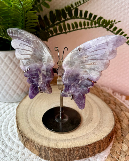 PAPILLONS