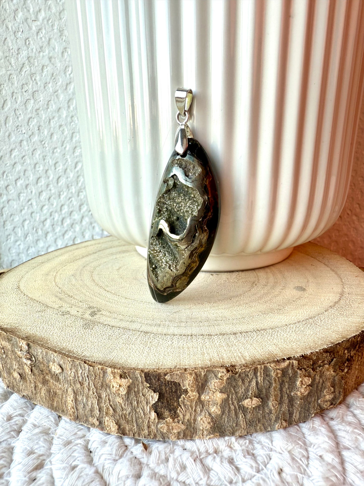 AMMONITE PYRITISÉE