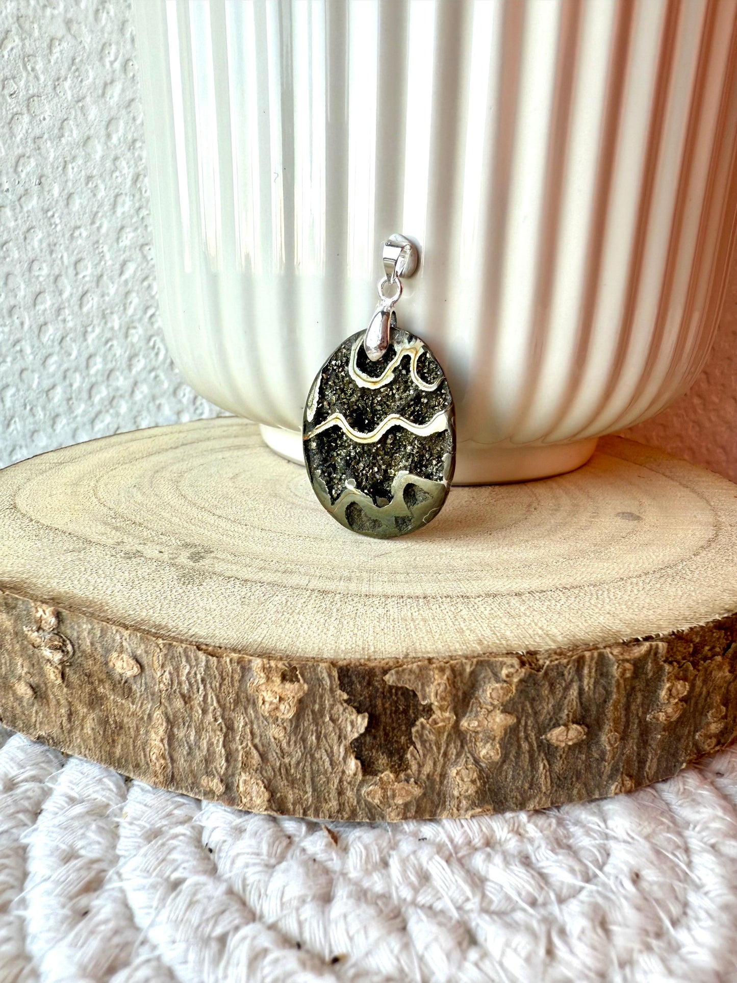 AMMONITE PYRITISÉE