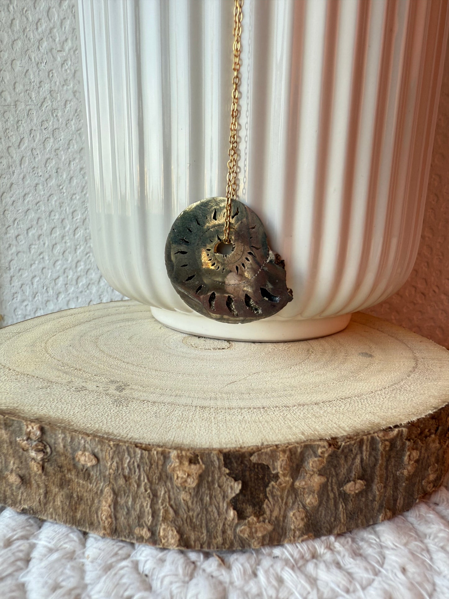 AMMONITE PYRITISÉE