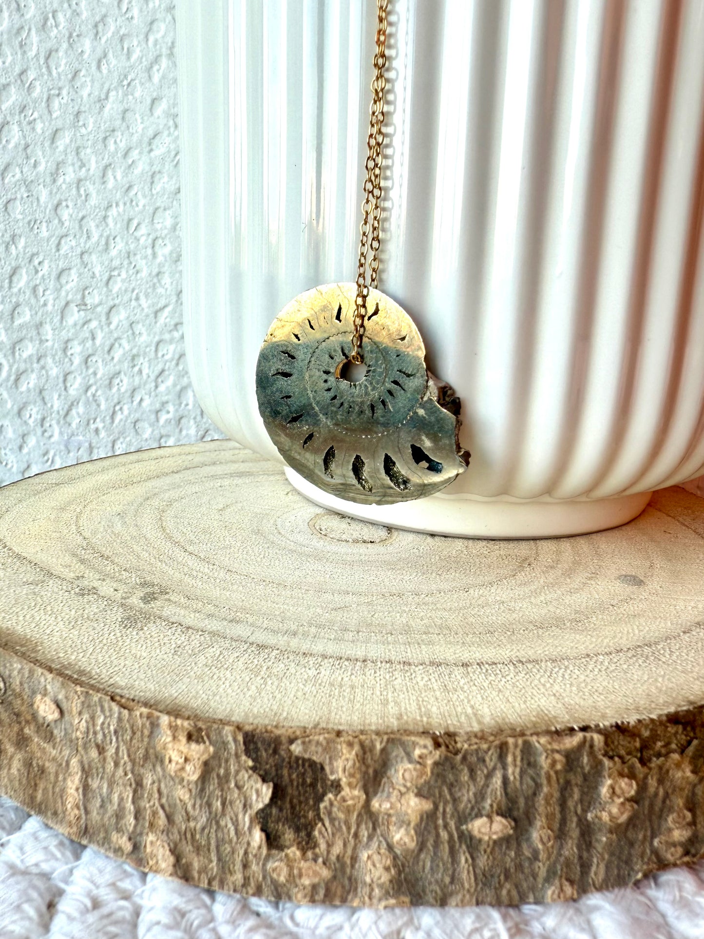 AMMONITE PYRITISÉE
