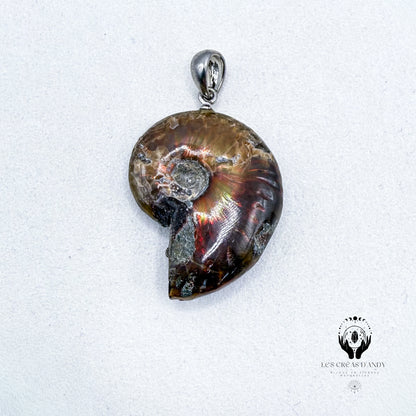 AMMONITE OPALISÉE